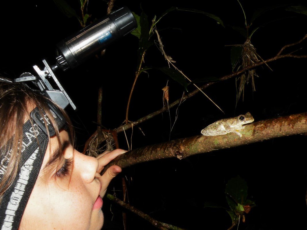 Carli Cronin frog surveying.jpg