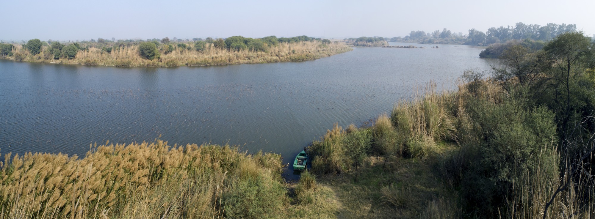 Restored wetland at DDA Yamuna Biodiversity Park Delhi India_01.JPG