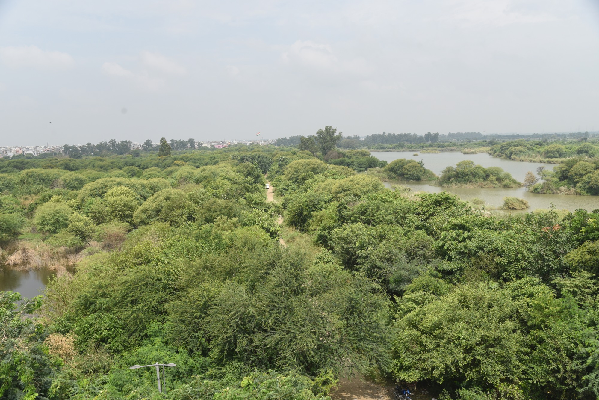 Restored wetland and forest communities in DDA Yamuna Biodiversity Park Delhi India_01.JPG