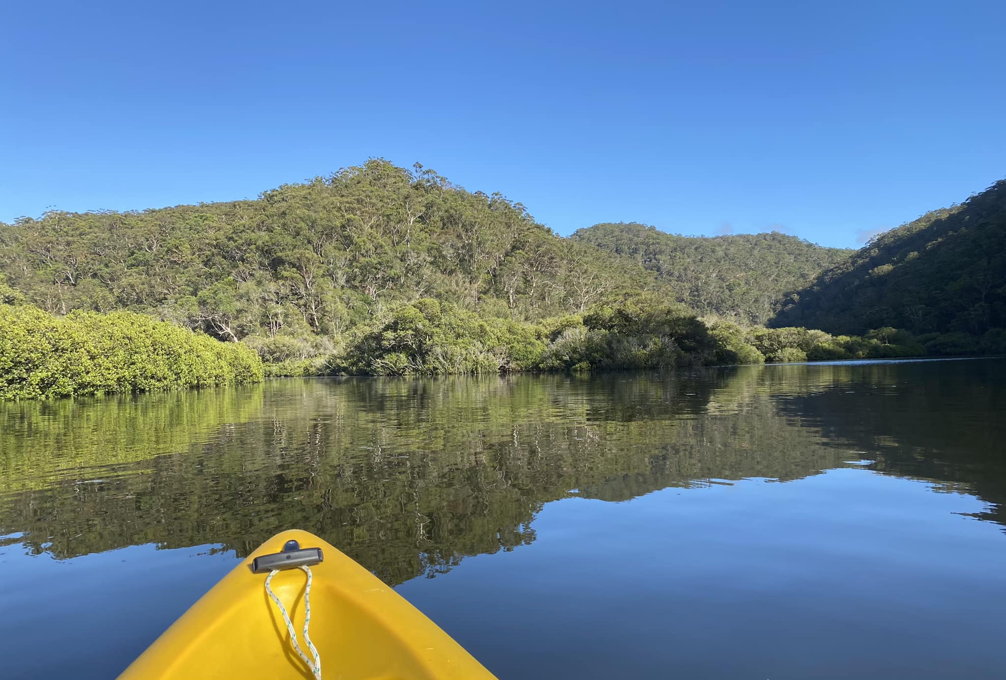 melinda lewis - paddling.jpg