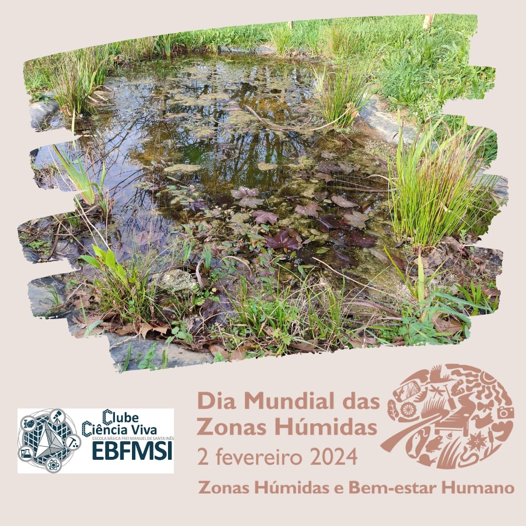 O charco da Escola - Comemoração do Dia Mundial das Zonas Húmidas.jpg