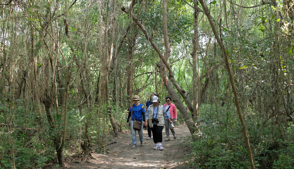 SCPW_a wetland walk (3).jpg