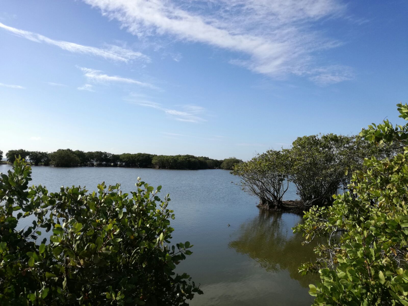 IMG-20170202-WA0012.jpg