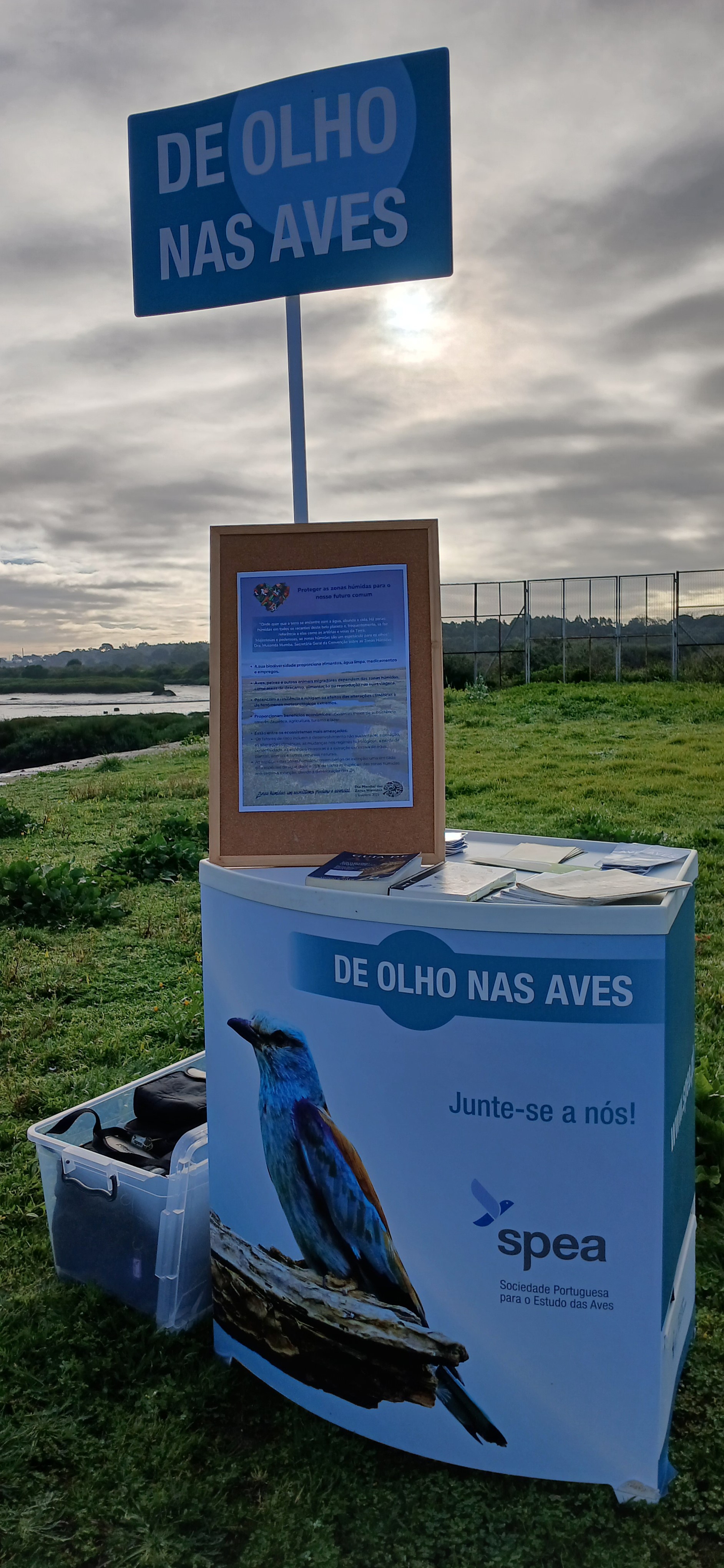 DONA-Moinho-Mare-Corroios-Ana-Esteves-SPEA (4).jpg