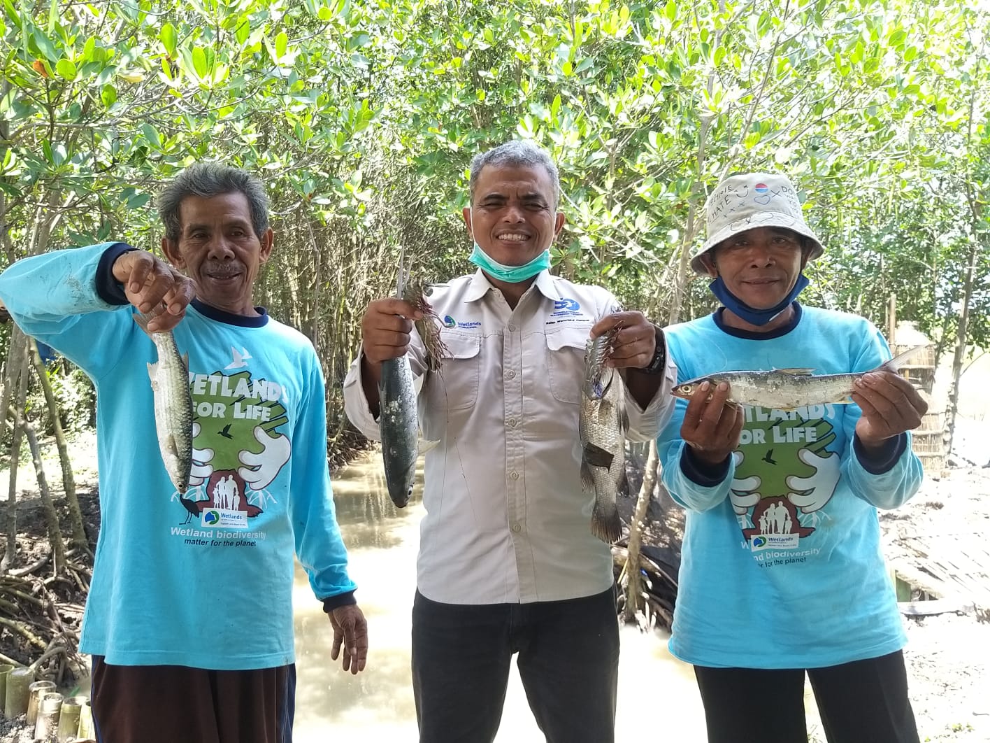 Environmentally friendly fish pond cultivation developed by the coastal community of Banten Bay.jpeg