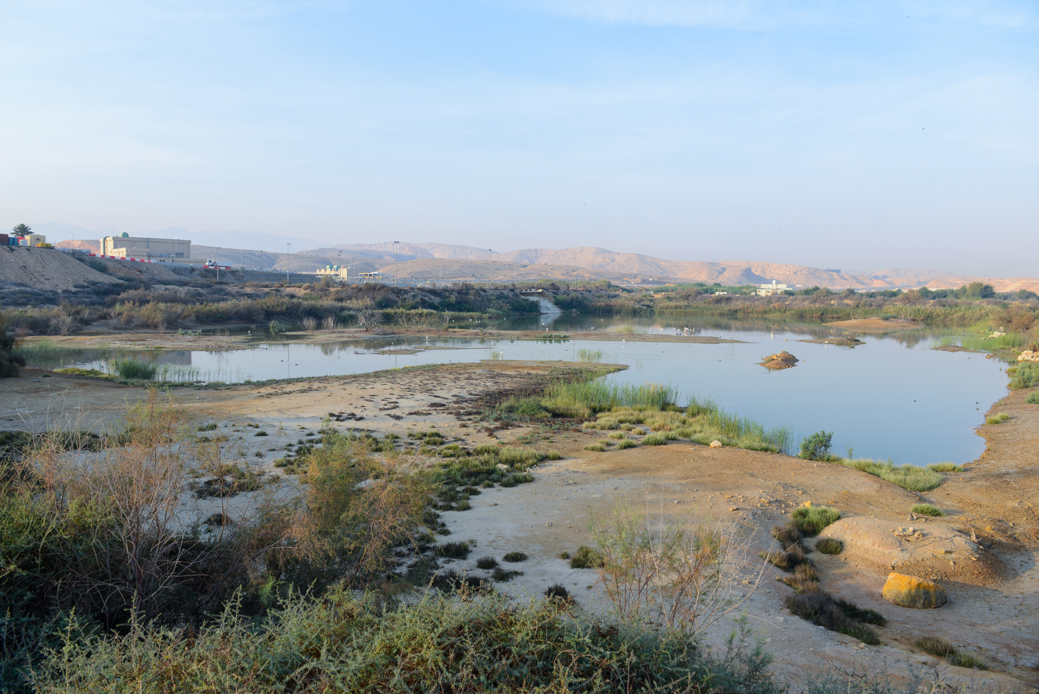 DSC_9336.jpg