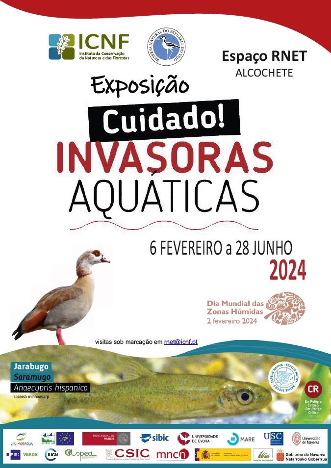 RNET-invasoras.jpg