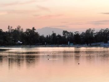 Lago del parque urbano San Juan de Aragón en la alcaldía Gustavo A Madero, al norte de la Ciudad de México, refugio de flora y fauna, tanto residente como migratoria