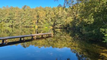 I love the Wettland!!!
I love Bagna Całowanie near Warsaw and Schalsee Moor in Zarrentin.