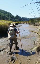 At Wilbur Island Mitigation Bank near the Central Oregon coast, Allen Martin wears 'Mudder' boots to navigate tidal channels while monitoring the wetlands for invasives.  Photo credit:  Dick Brainerd, 2017.