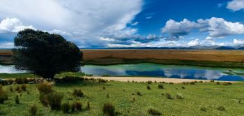 Foto del hermoso lago Junín, sus pastizales y sus totorales al interior de la Reserva Nacional de Junín - sitio Ramsar en Perú