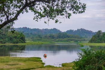 Bau Sau Ramsar site of Cat Tien national park.