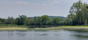 The wetland of Bruschera, about 164 hectares, is located on the Lombardy shore of Lake Maggiore south of Angera. It is one of the last patches of flooded forest in Lombardy, characterized by a vast wet forest of black alder trees, a system of springs, meadows, ponds and reedbeds.