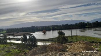 Ben hamdane, Zone Humide située à Ouled Auleug, Wilaya de Blida, c'est une zone riche en oiseaux migrateurs