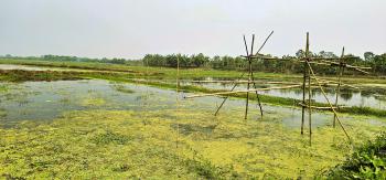 Progyan Foundation for Research and Innovation (PFRI), India has recently ventured to take stock of the non-RAMSAR wetlands Bortir Beel, West-Bengal, India on the verge of World Wetland Day 2024.