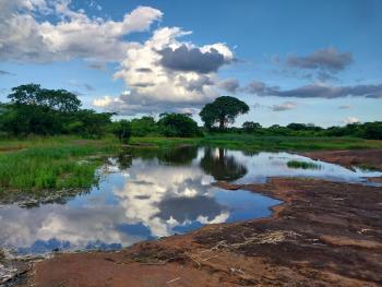 Located in Cabo Delgado Province, nortern of Mozambique, this small non-clasified temporary inland wetland serves as natural discharge of local aquifer as well as a natural spring of smal river that provide water for crops irrigation for farmers of the local communities.