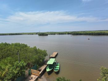 Photos from Pichavaram Mangrove Ecosystem