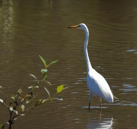 Yeramba Lagoon, at Georges River National Park, New South Wales