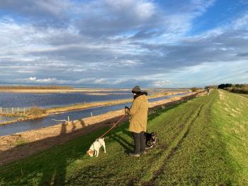 Whittlesey washes