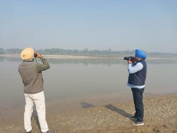 A 185 km stretch of the River Beas (Punjab, INDIA) starting from 52 Headworks, Talwara to Harike Headworks was declared as the Beas River Conservation Reserve on 29 August 2017. 
The Beas Conservation Reserve (RAMSAR SITE) hosts the only population of Indus River Dolphins in India.