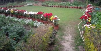 An inland swamp in the urban locales of New Delhi on a private residential property that is helping the flora bloom and growth in numbers/variety of birds visiting.