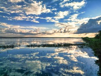 Early morning in Crooked Tree Wildlife Sanctuary which was designated as a waterfowl habitat on April 22, 1998, under the Ramsar Convention on Wetlands.