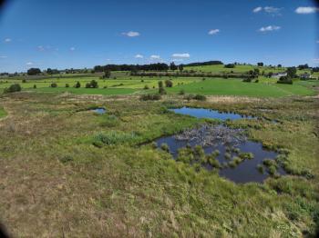 The wetland of the River Emmels is being restored and monitored also thanks to the EU-funded project REWET project (https://www.rewet-he.eu/).