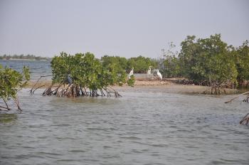 Sine saloun Sénégal