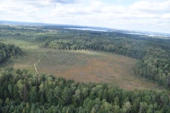 Dubravos strict reserve rised bog
