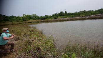 Foto tomada en una zona de la playa Río Campo, durante una misión de visita de actualización de Humedales de Guinea Ecuatorial