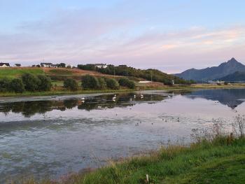 Halsvågen in Lofoten, a part of Leknes wetlandsystem Important Bird and Biodiversity Area (IBA).