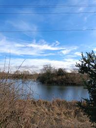 Welthamstow wetlands, London