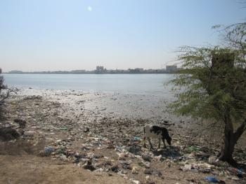 The picture represents a side of the Shatt al-Arab River in  Al- Salhia region in Basrah Governorate- southern Iraq, as many water bodies are suffering from deterioration and extinction due to mismanagement of water, pollution and climate change, which has made them very poor sites  in biodiversity.