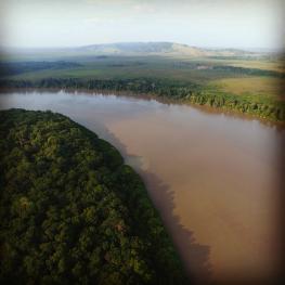 Humedales del río Tuira, Darién