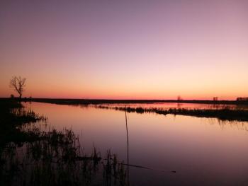 Wetland areas of Slowinski National Park in Poland