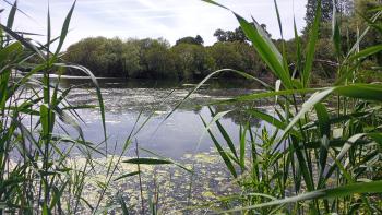 The unique peatland of Paul da Gouxa in Alpiarça, Portugal, is being restored and monitored also thanks to the EU-funded project REWET (https://www.rewet-he.eu/).