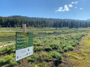 Truckee River Watershed Council and partners Sardine Meadow Restoration Project, Sierra Mountains, California