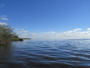 Laguna Luna, Esteros del Iberá, Provincia de Corrientes