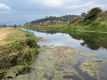 Humedal Urbano “Río Santa Bárbara”
Parque Urbano Ecológico de Uruapan 
“San Francisco de Asís”
Michoacán