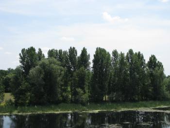 Special Nature Reserve 