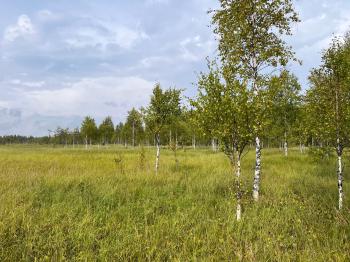 Ylpässuo is a minerotrophic open mire that is being restored and monitored also thanks to the EU-funded project REWET project (https://www.rewet-he.eu/).