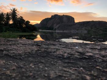 REMINDING THE END CAN BE BEAUTIFUL TOO - #SUNSET #WETLAND