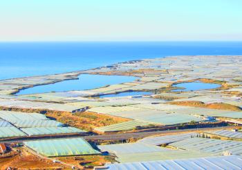 Las albuferas de Adra, como islas de agua en un mar de plástico