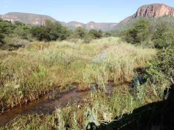 Channeled valley bottom wetlands along the Mokamole River, a tributary of the Mogalawena River, a tributary of the Limpopo River, South Africa.