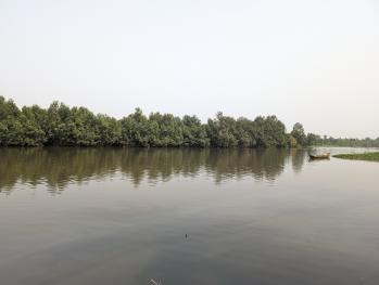 Pipo Beach wetland near the Wouri estuary, Douala Cameroon