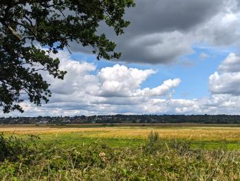July at Pulborough Brooks in West Sussex, UK