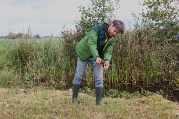 Caspar Werver (IUCN NL) testing the sponginess of the peat in the peatland of the Weerribben-Wieden National Park in the Netherlands. The peatland is being restored and monitored also thanks to the REWET project (https://www.rewet-he.eu/).