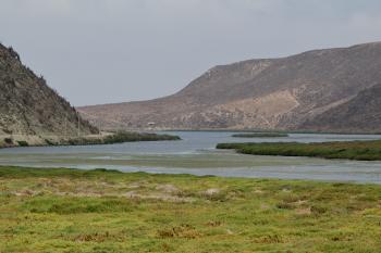 Desembocadura Río Limarí