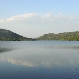 Raval Reservoir Gir forest, Gujarat India. Asiatic lion landscape