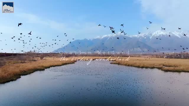 World wetlands day